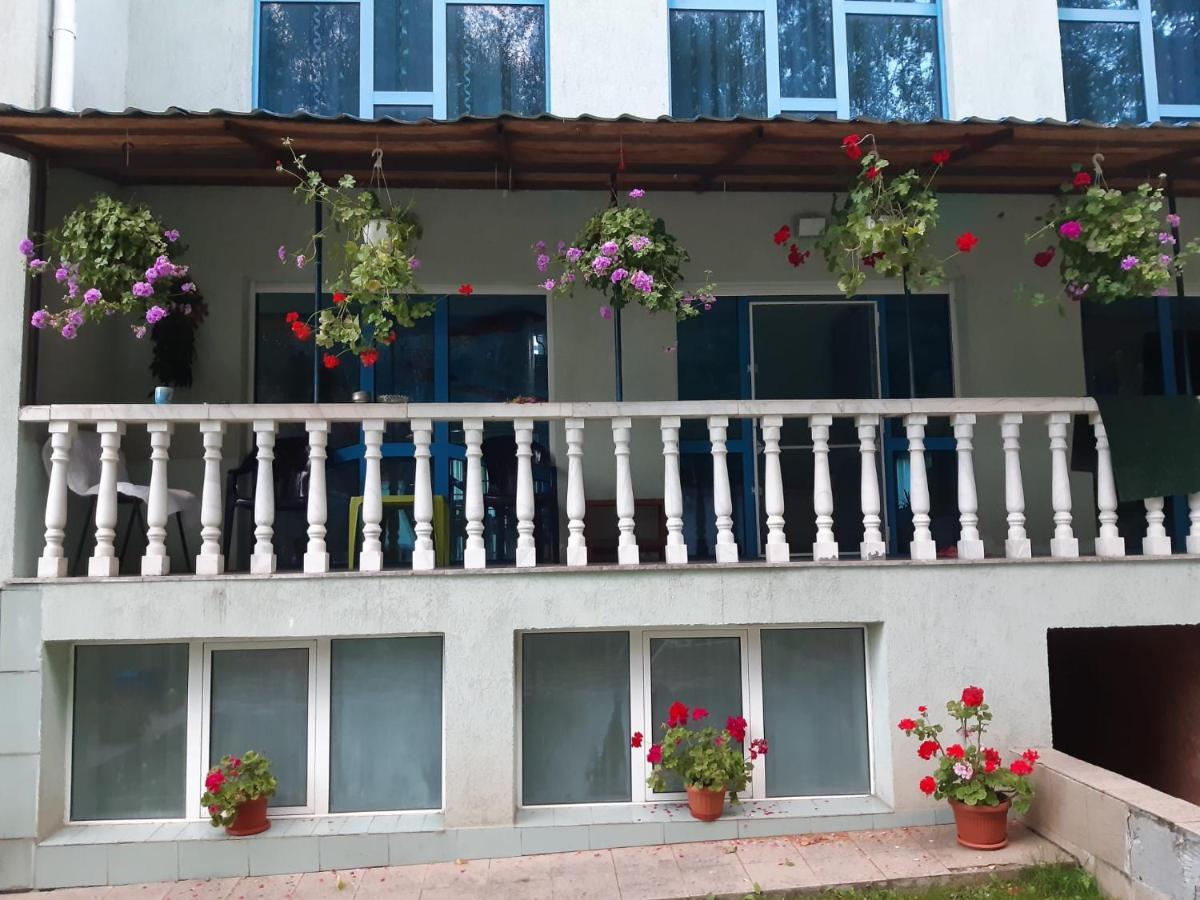 Casa Albastra Hotell Drumu Carului Eksteriør bilde