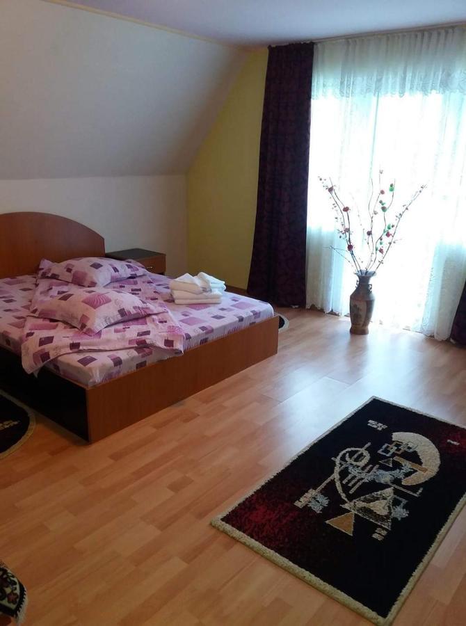 Casa Albastra Hotell Drumu Carului Eksteriør bilde