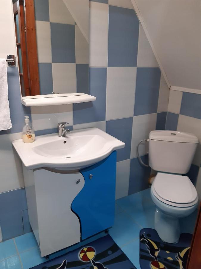 Casa Albastra Hotell Drumu Carului Eksteriør bilde