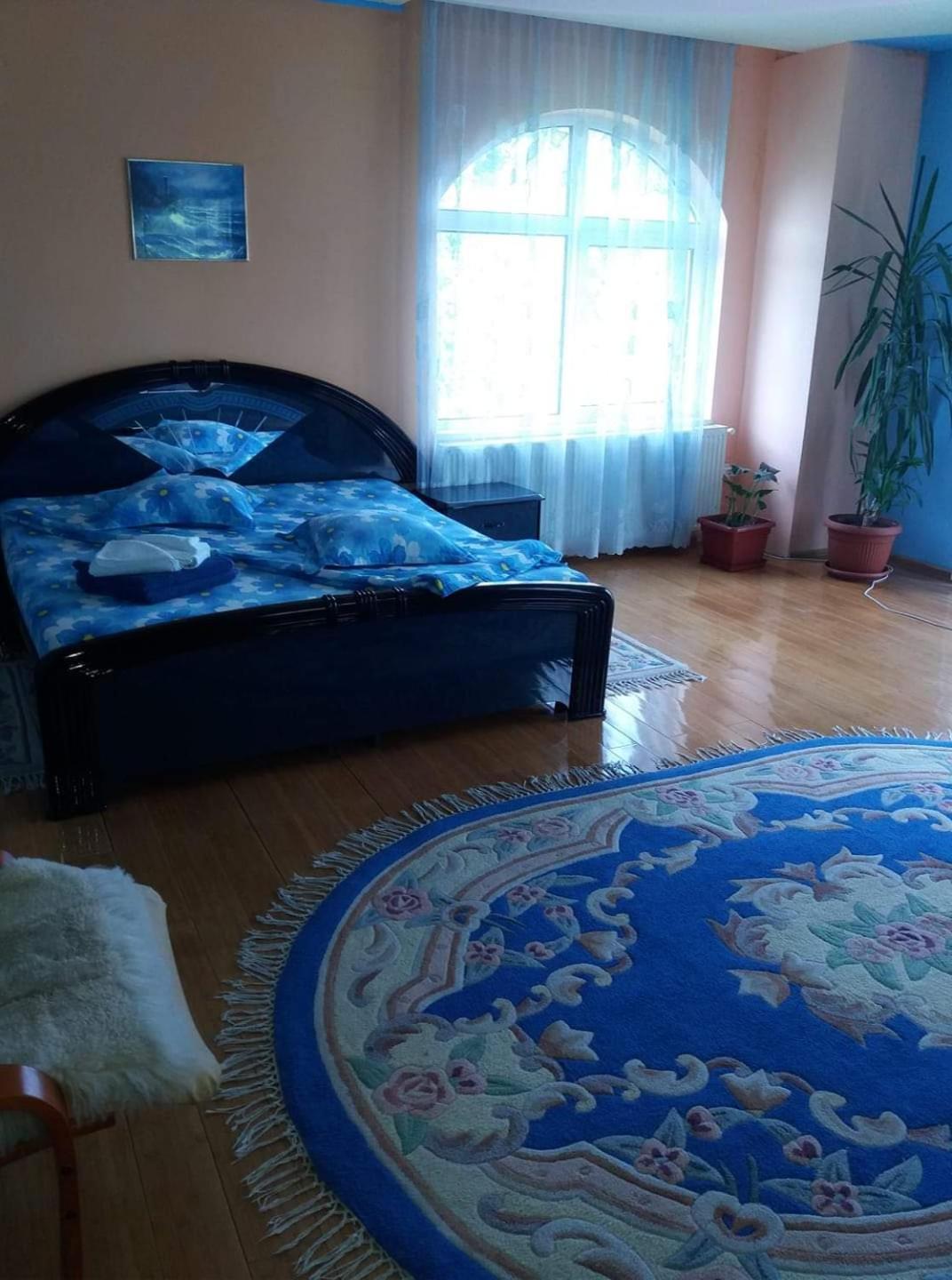 Casa Albastra Hotell Drumu Carului Rom bilde
